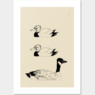 Duck Duck Goose Posters and Art